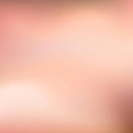 Ours Éternel & Collier Personnalisé